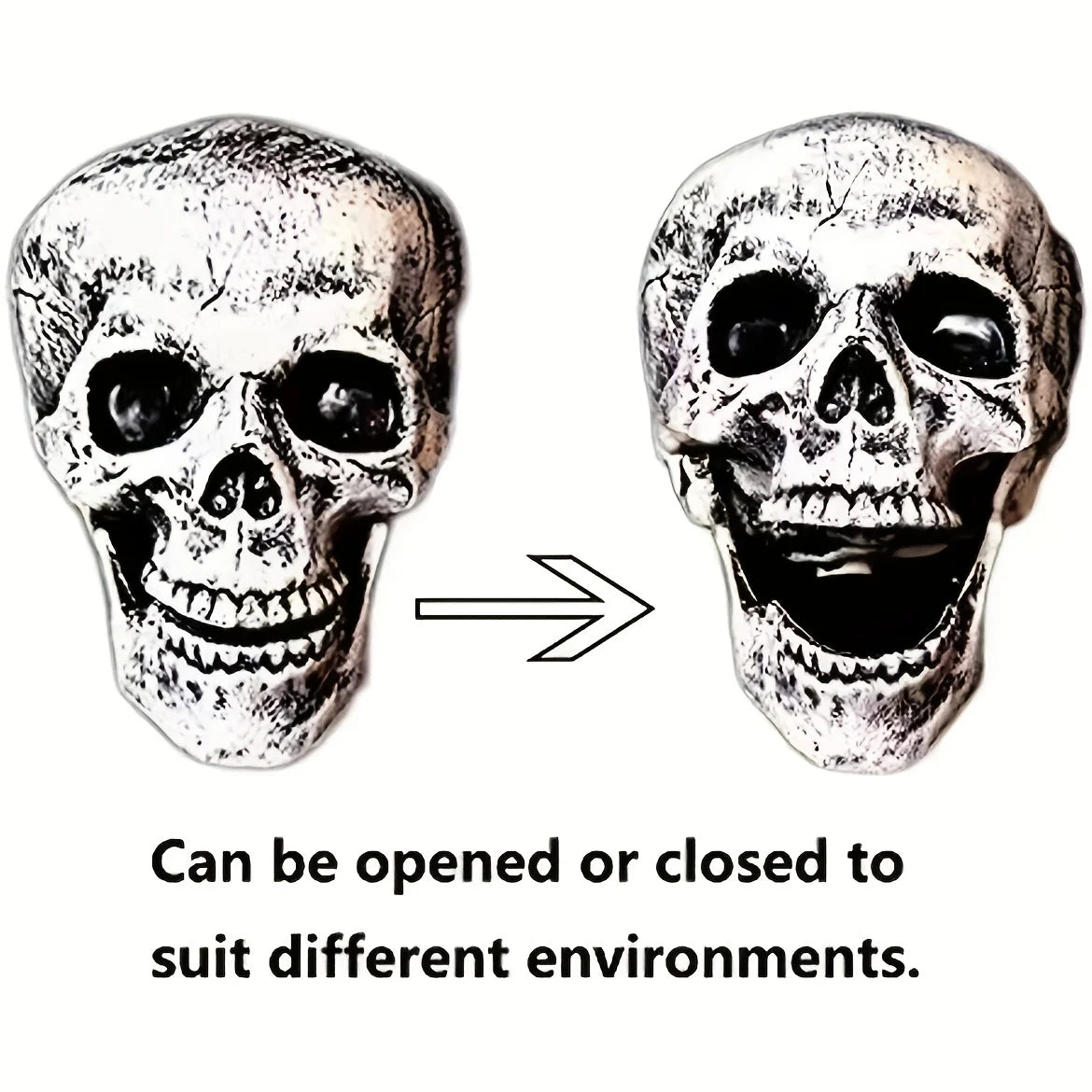 Realistic Skeleton