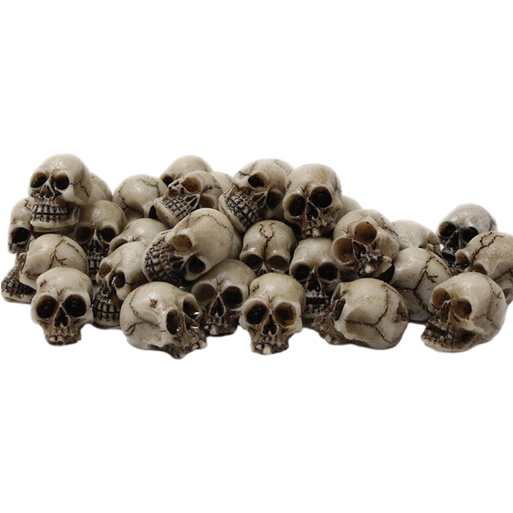Skull Head Sculptures Collectable