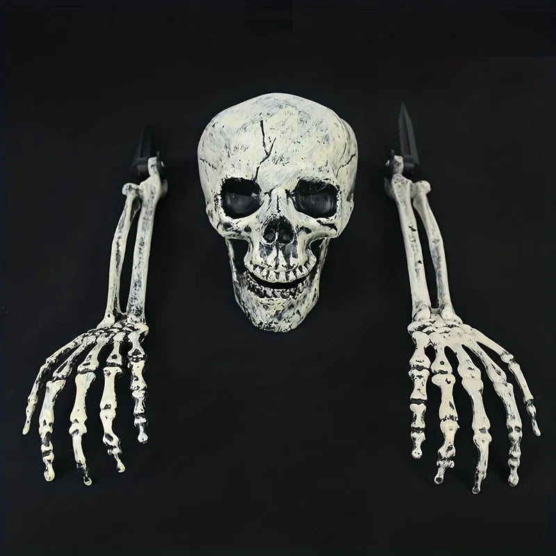 Realistic Skeleton