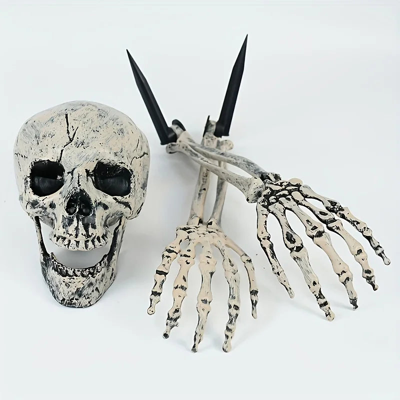 Realistic Skeleton
