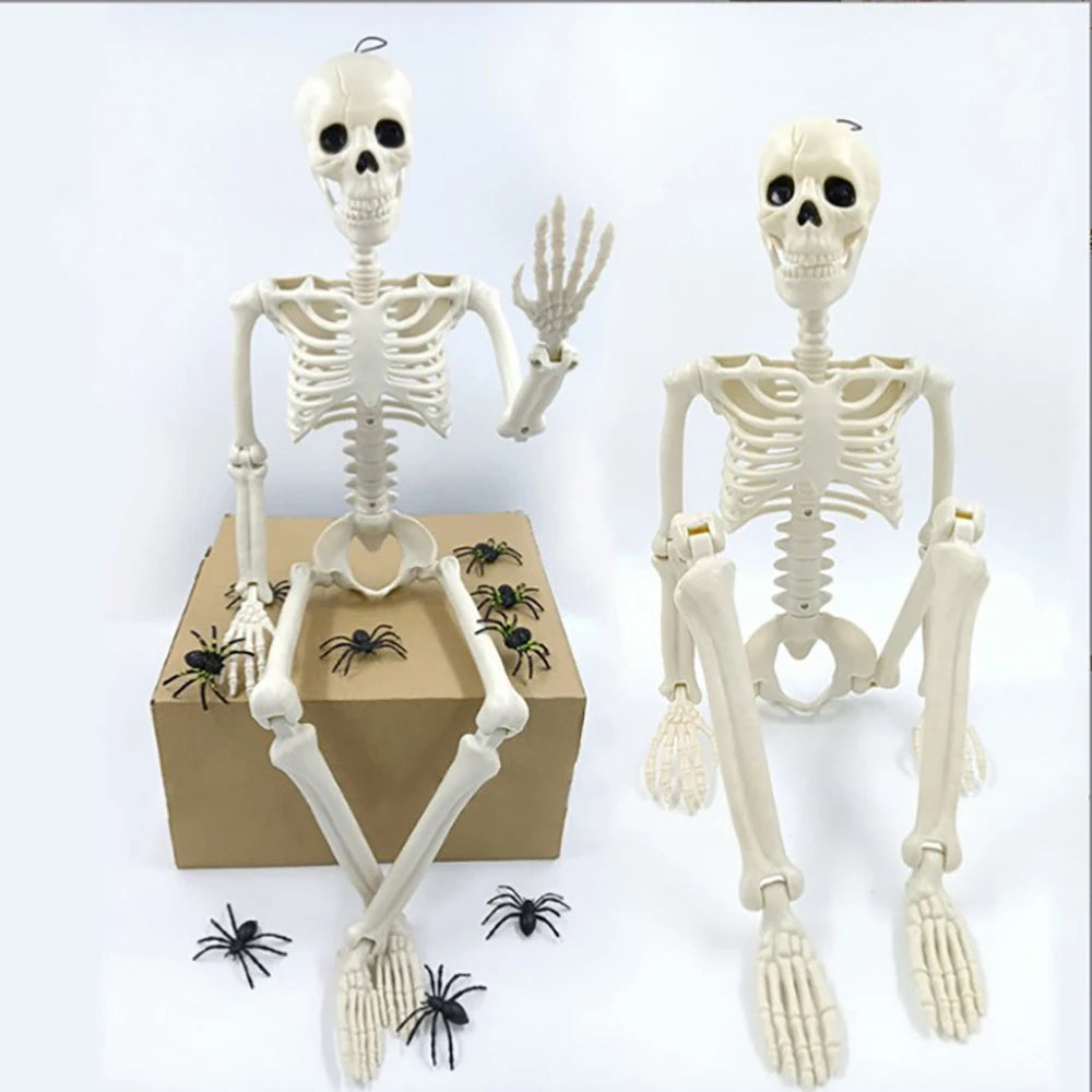 40cm Halloween Human Shape Skeleton