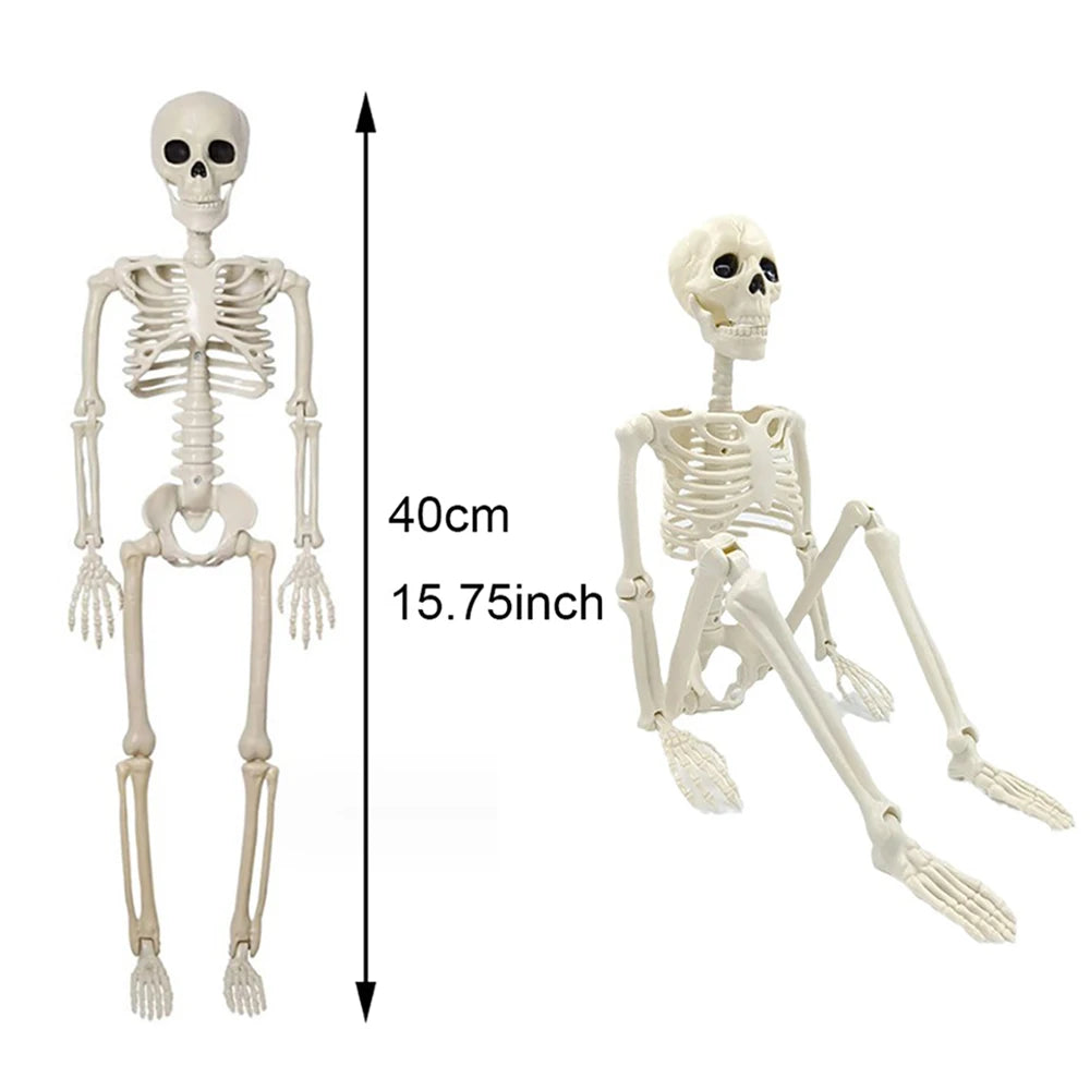40cm Halloween Human Shape Skeleton