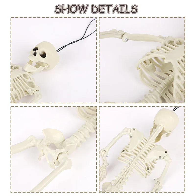 40cm Halloween Skull Skeleton