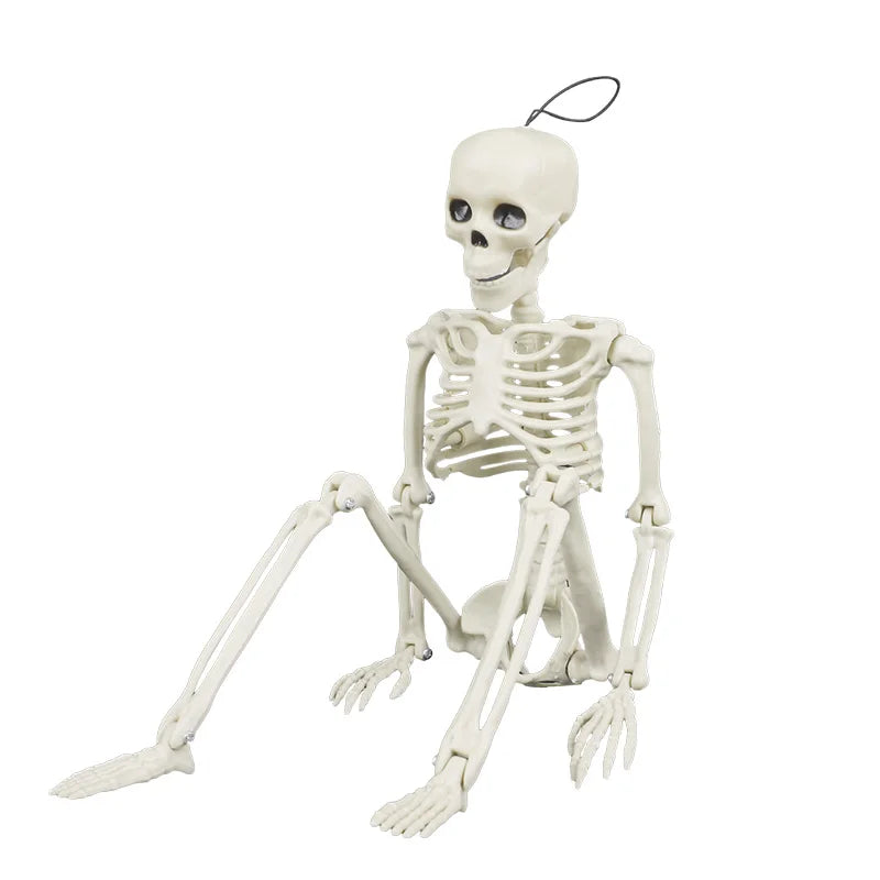 40cm Halloween Skull Skeleton