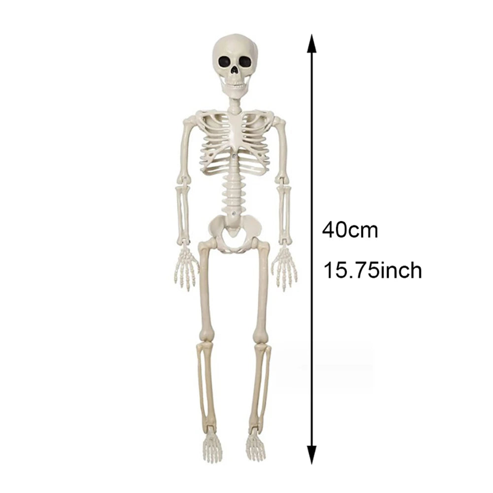 40cm Halloween Human Shape Skeleton