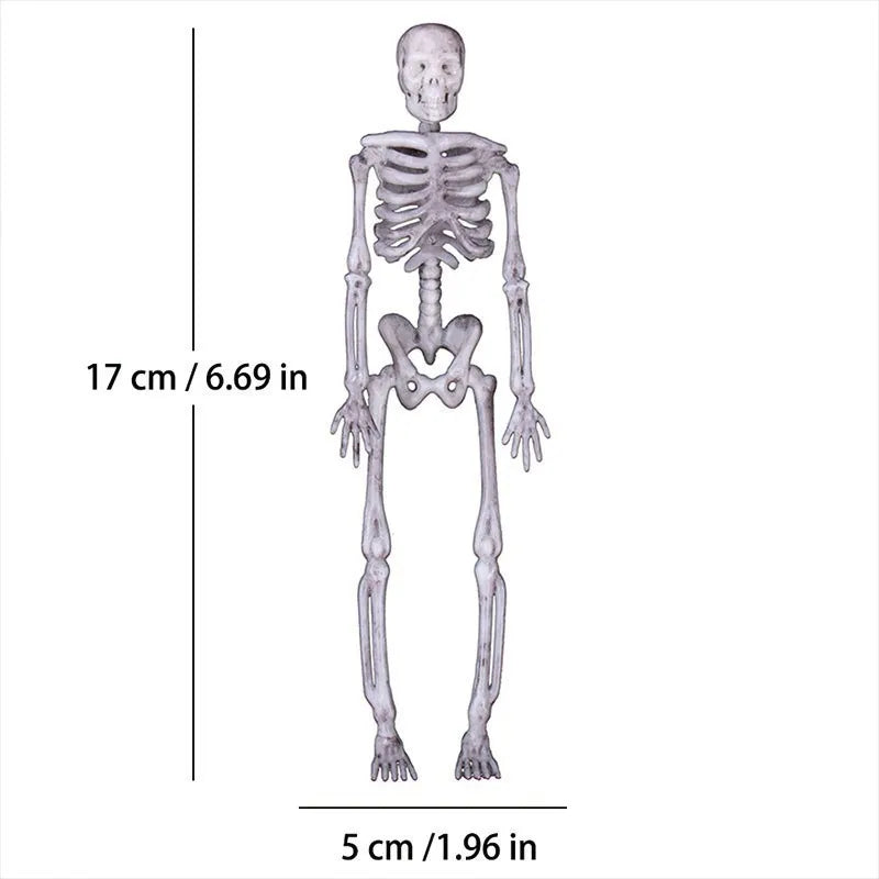 Skull Hanging Ghost Simulation