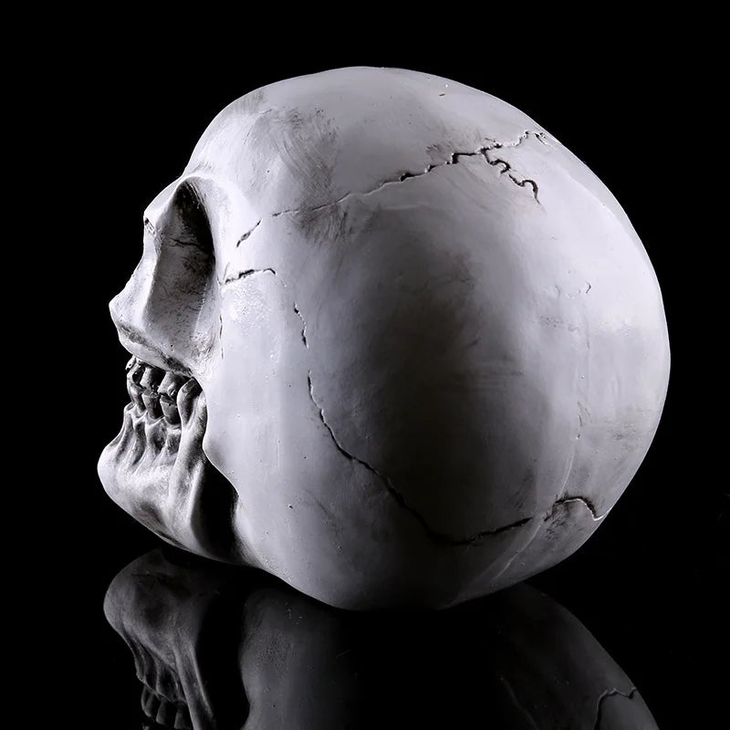 Resin Human Head Skull Statue for Home Decor