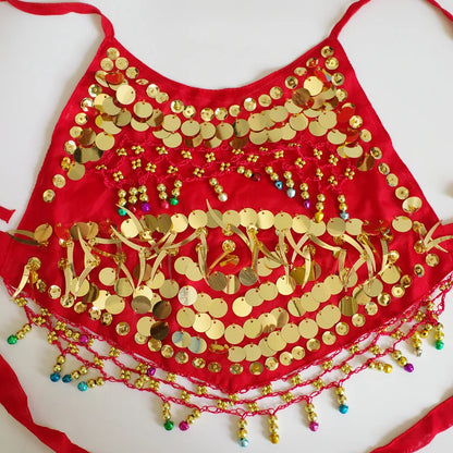 Kids Belly Dance Costumes Set 6 Colors
