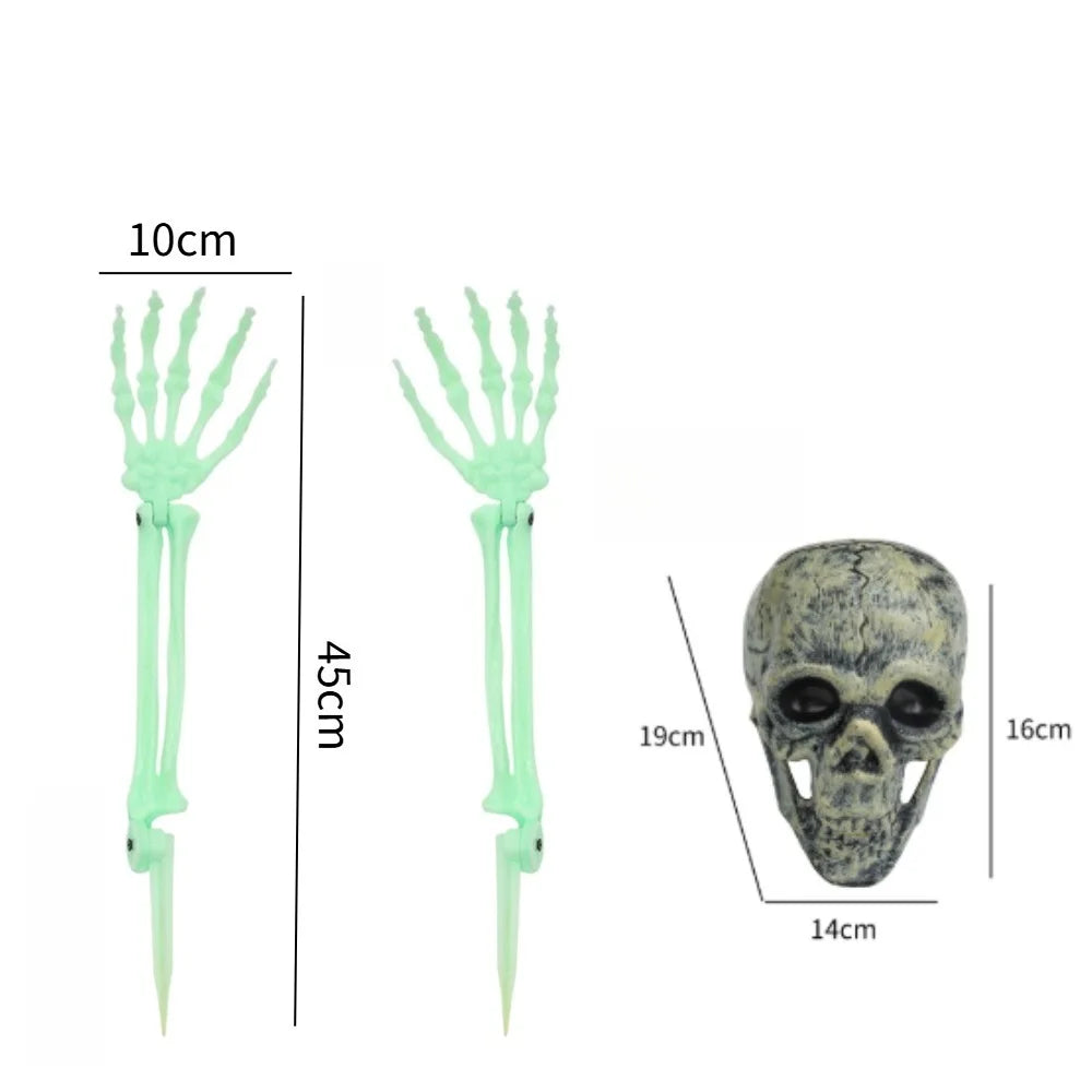 Skull & Skeletons