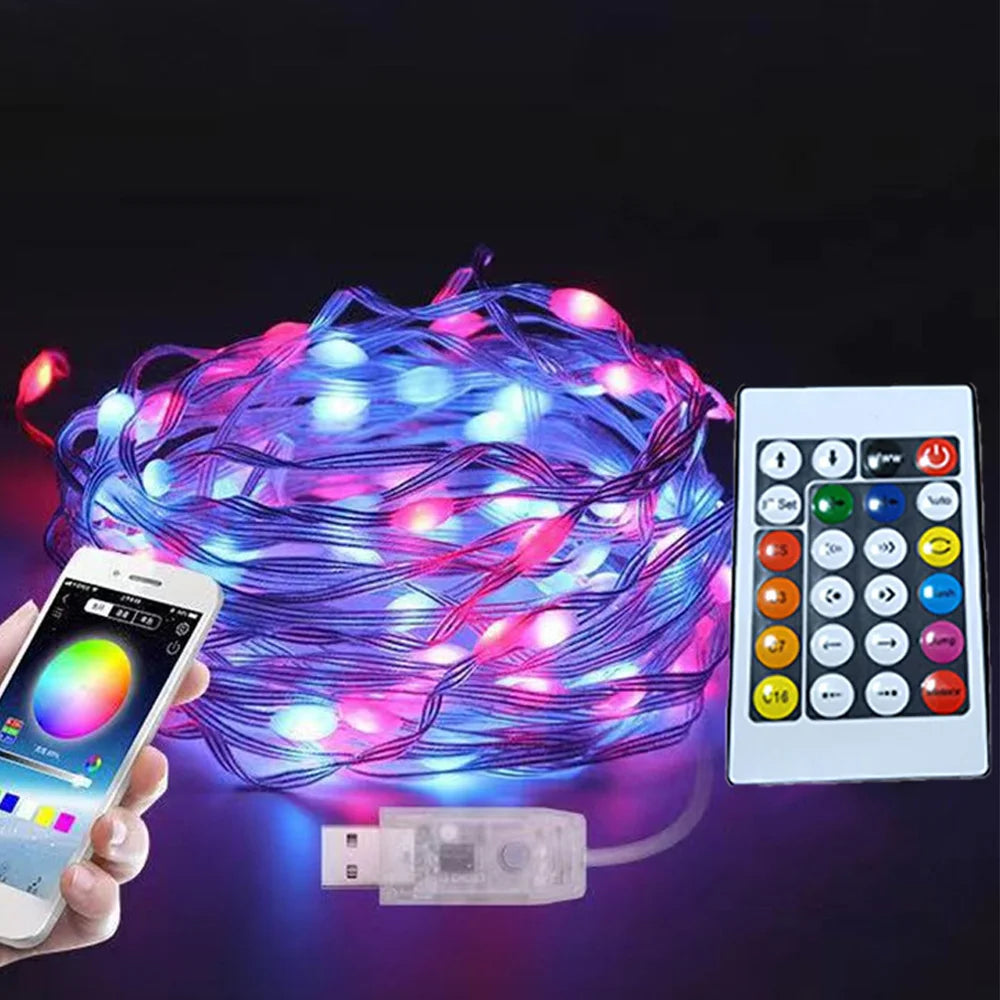 RGB Led String Lights Remote Bluetooth USB