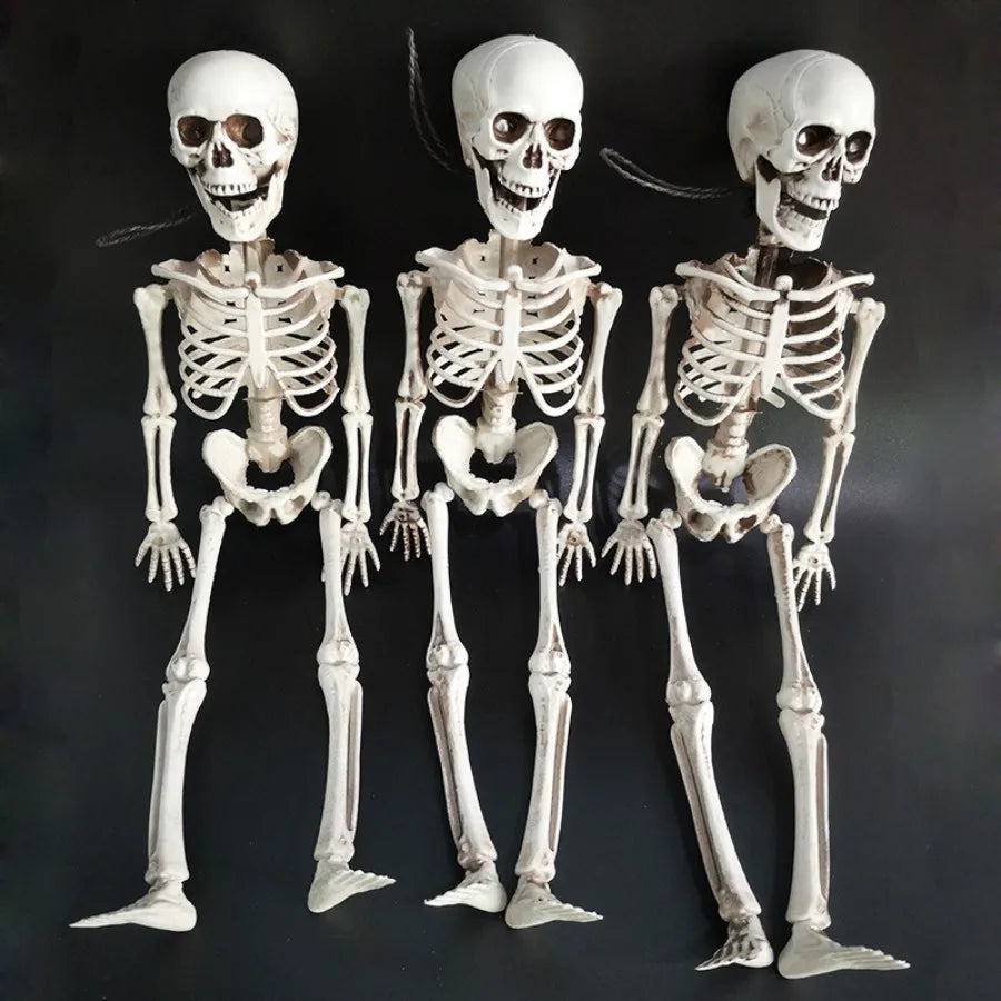 40cm Posable Skeleton Human Shape Bones