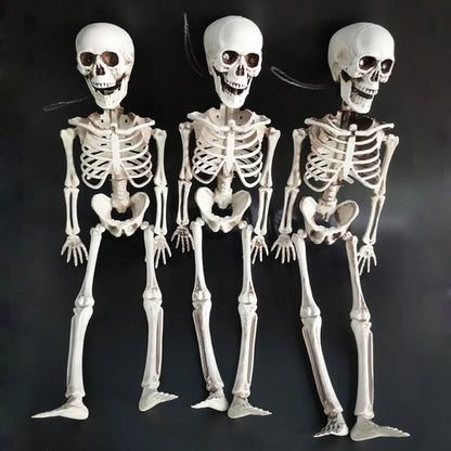 40cm Posable Skeleton Human Shape Bones