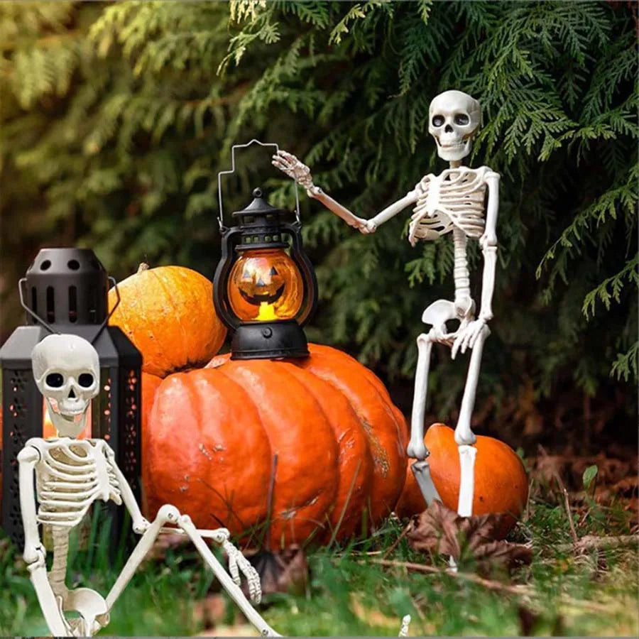 40cm Posable Skeleton Human Shape Bones