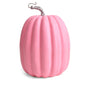 Pumpkin Set Rustic Farmhouse Centerpiece