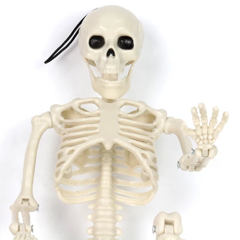 Small Skeletons Decoration Full Body Posable Join