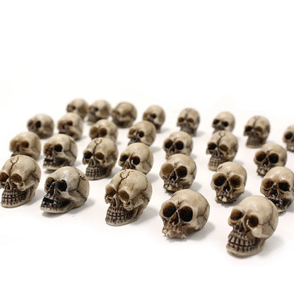 Skull Head Sculptures Collectable