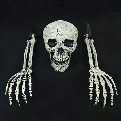 Realistic Skeleton