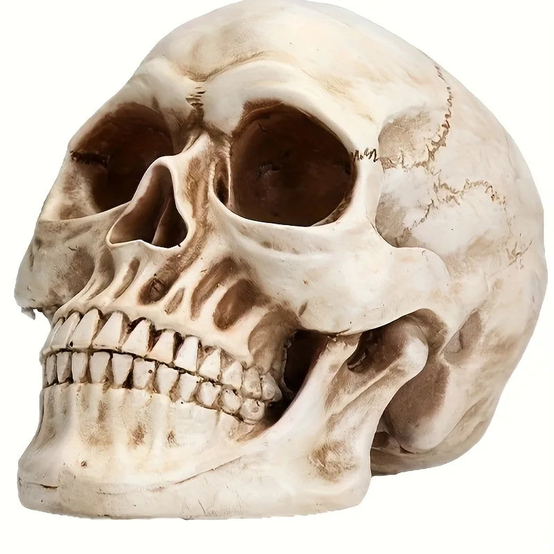 Skull Crafts Personalized Ornaments