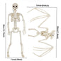 1/2pcs Halloween Skull