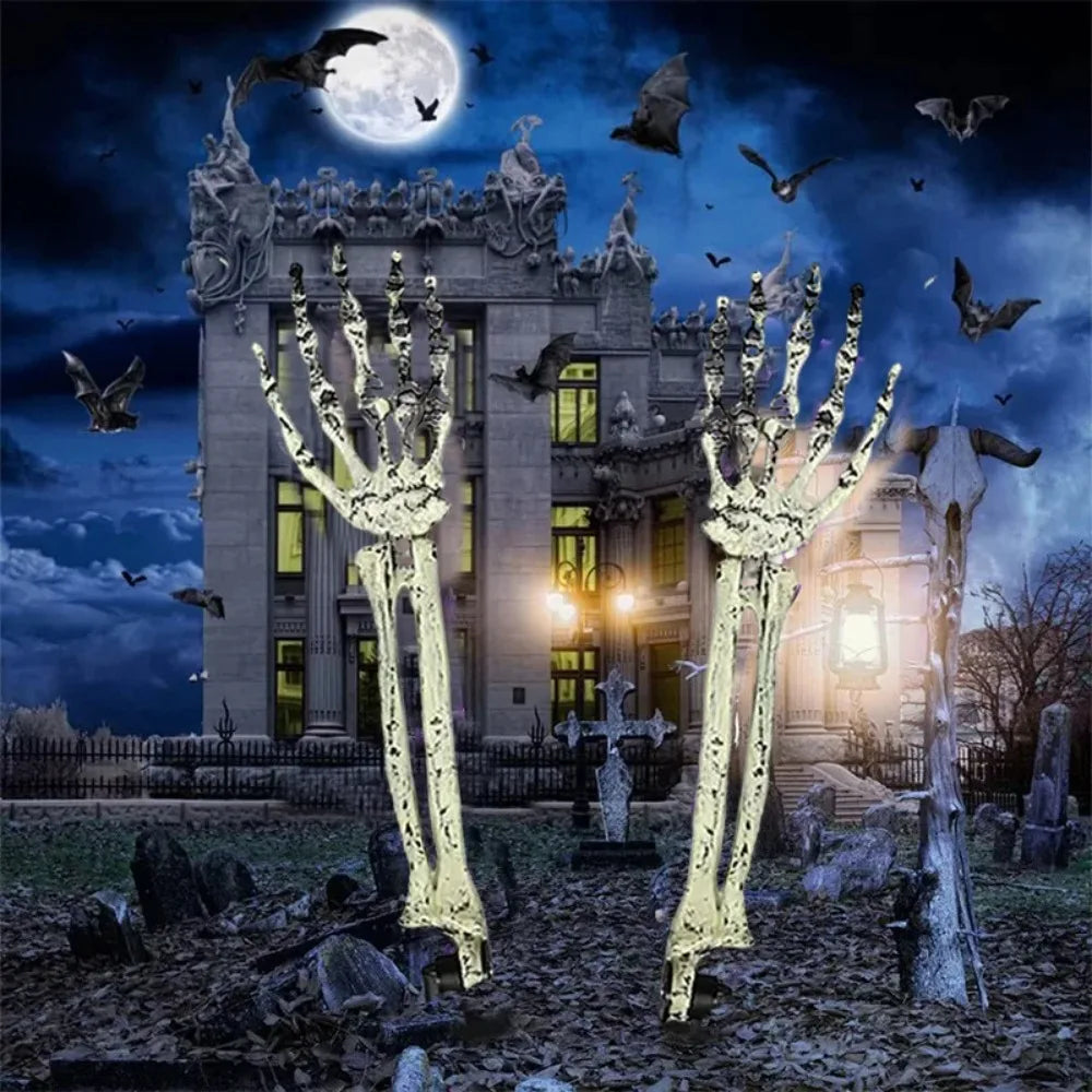 Skull & Skeletons