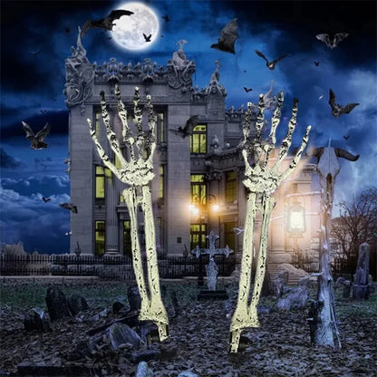 Skull & Skeletons