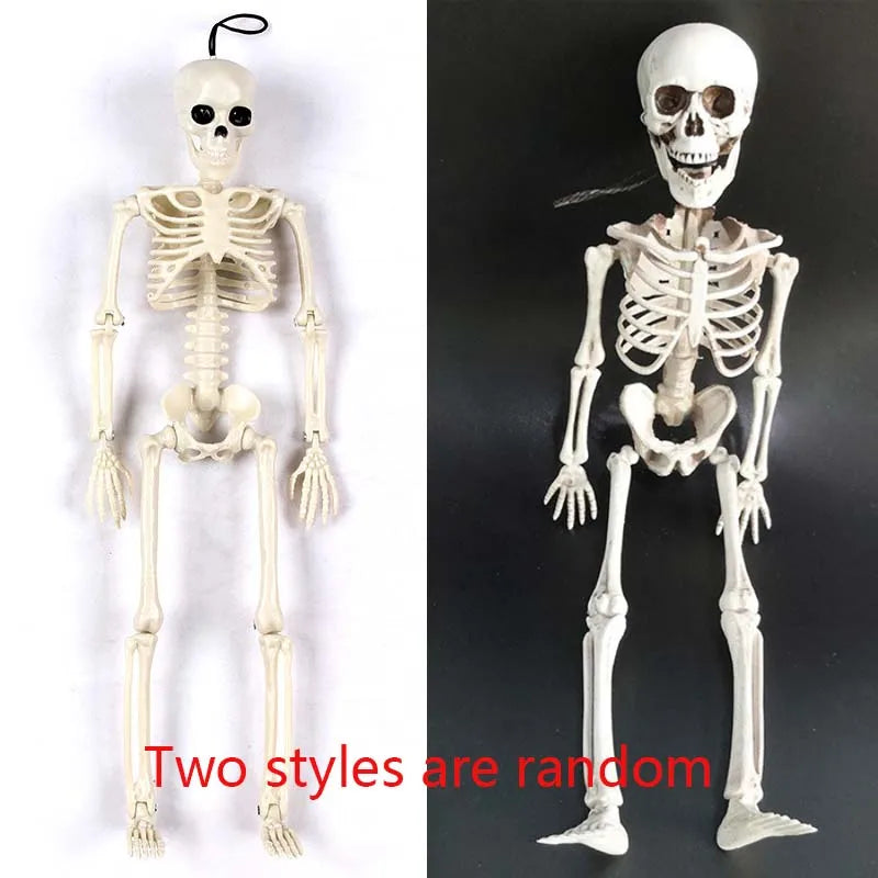 40cm Posable Skeleton Human Shape Bones