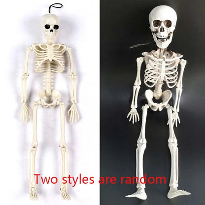 40cm Posable Skeleton Human Shape Bones