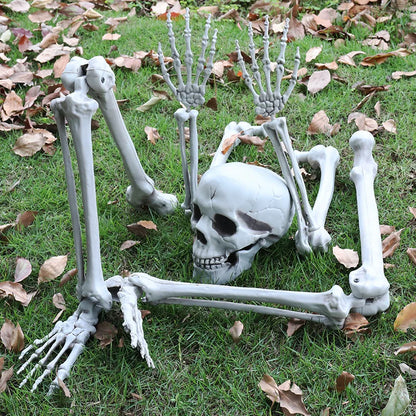 Skeleton Head Outdoor Scary Props Realistic Skull
