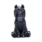 Magic Black Dragon Griffin