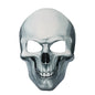 Spooky Scary Skull Full Face Mask