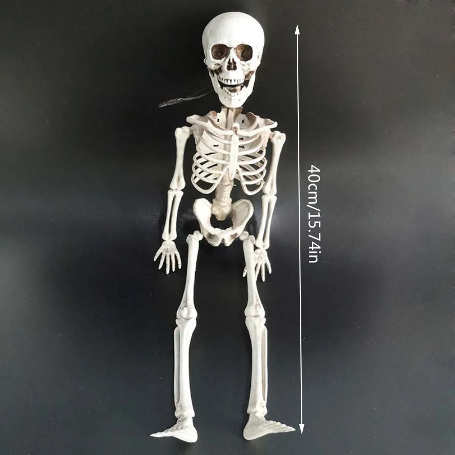 40cm Posable Skeleton Human Shape Bones