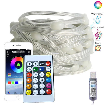 RGB Led String Lights Remote Bluetooth USB