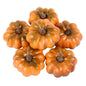 Artificial Pumpkin Fake Simulation Vegetable