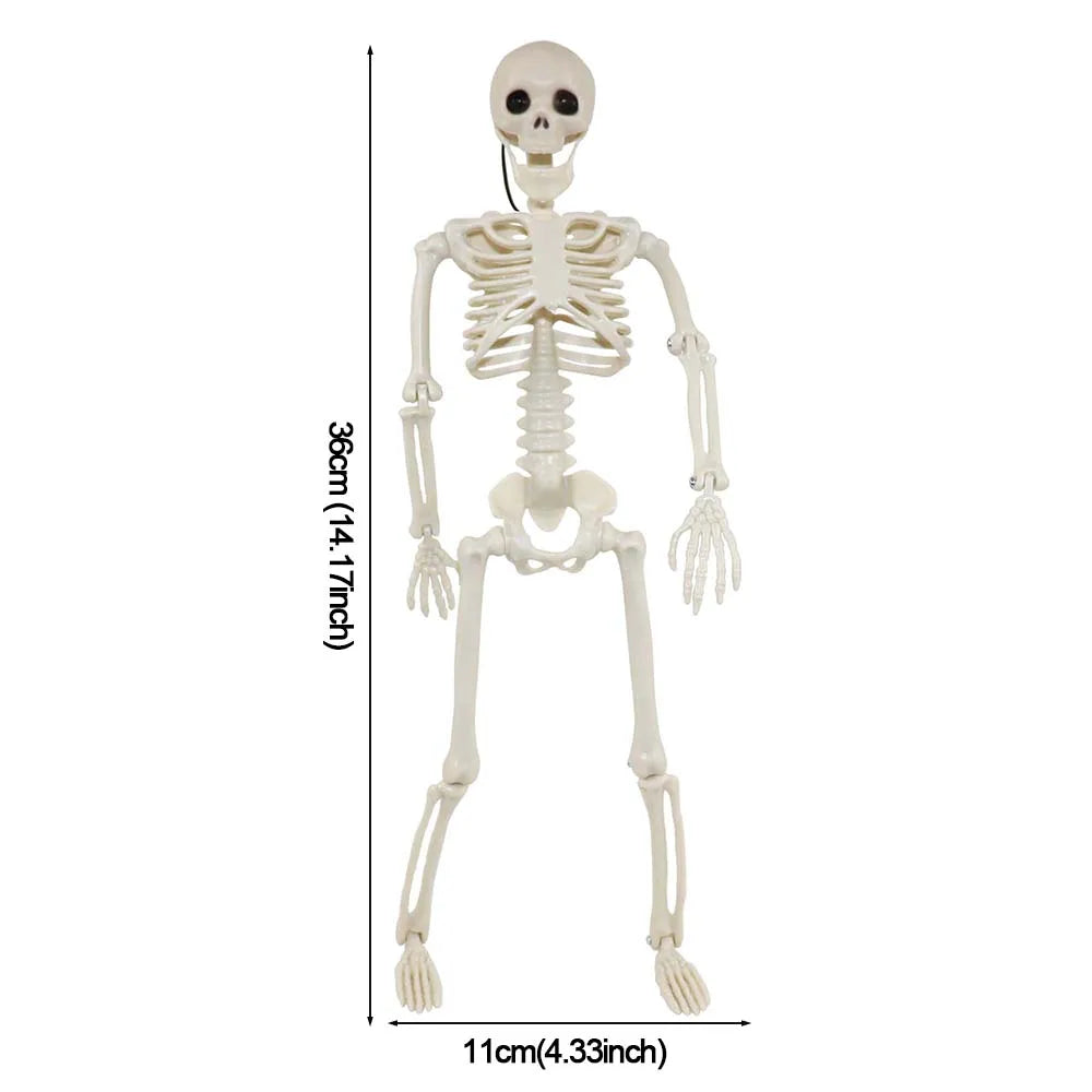 1/2pcs Halloween Skull