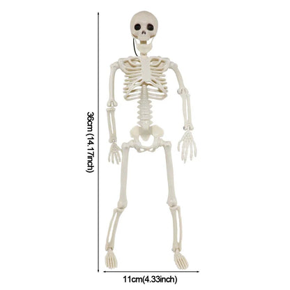 1/2pcs Halloween Skull