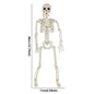 1/2pcs Halloween Skull