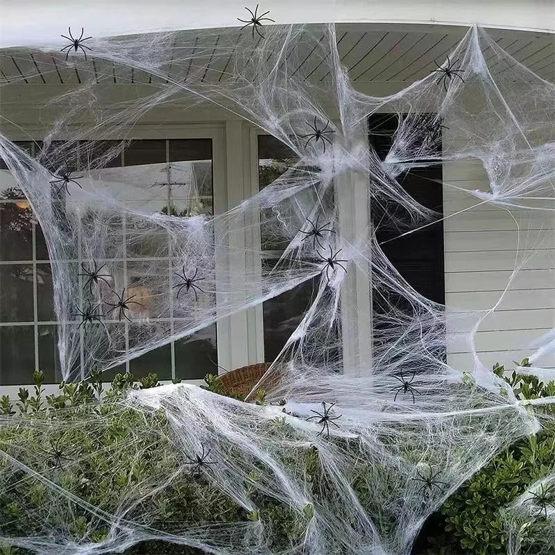Super Real Spider Web Fake Spider