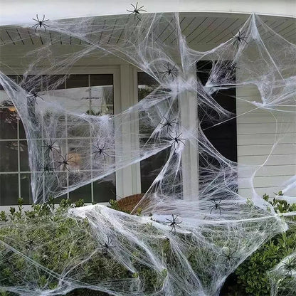 Super Real Spider Web Fake Spider