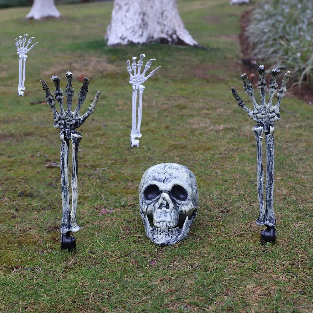 Skull & Skeletons