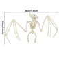 1/2pcs Halloween Skull
