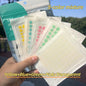 Acne Patch Colorful Star Makeup