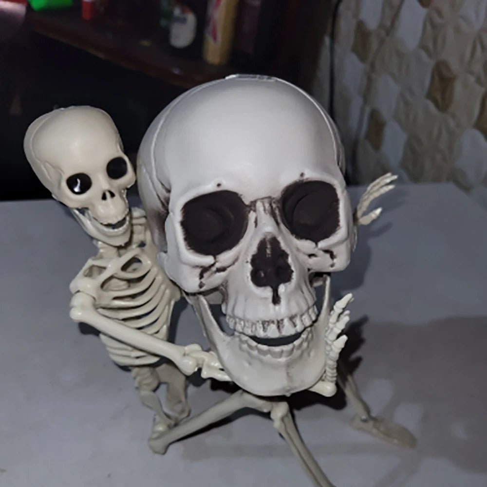 Realistic Plastic Skull