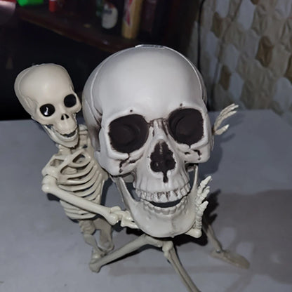 Realistic Plastic Skull