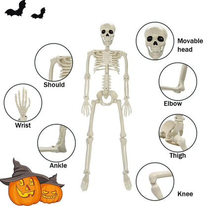 40cm Halloween Human Shape Skeleton