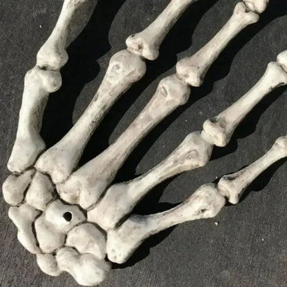 Scary Skull Hand Realistic Skeleton