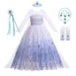 Princess Snow Queen gown