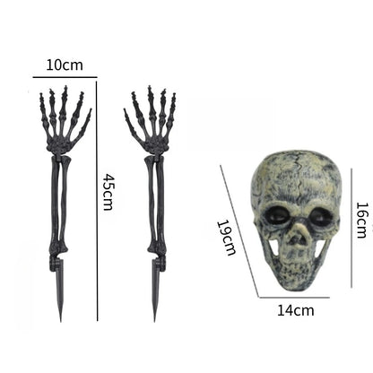 Skull & Skeletons