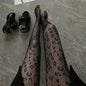 Sexy Black Spider Web Mesh Pantyhose