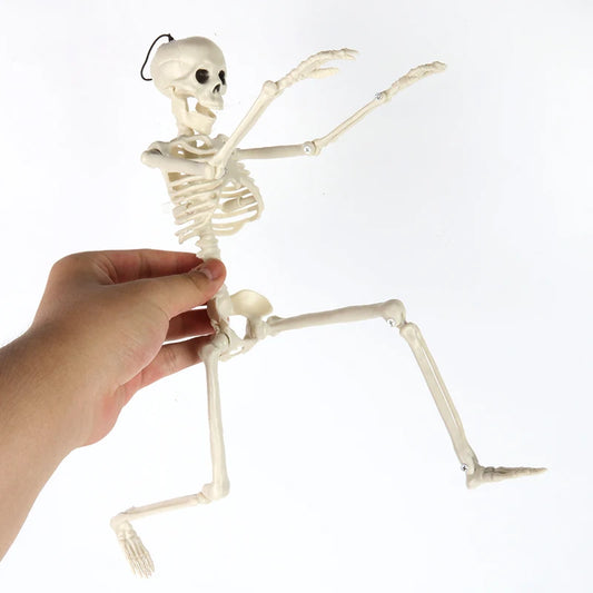 Small Skeletons Decoration Full Body Posable Join