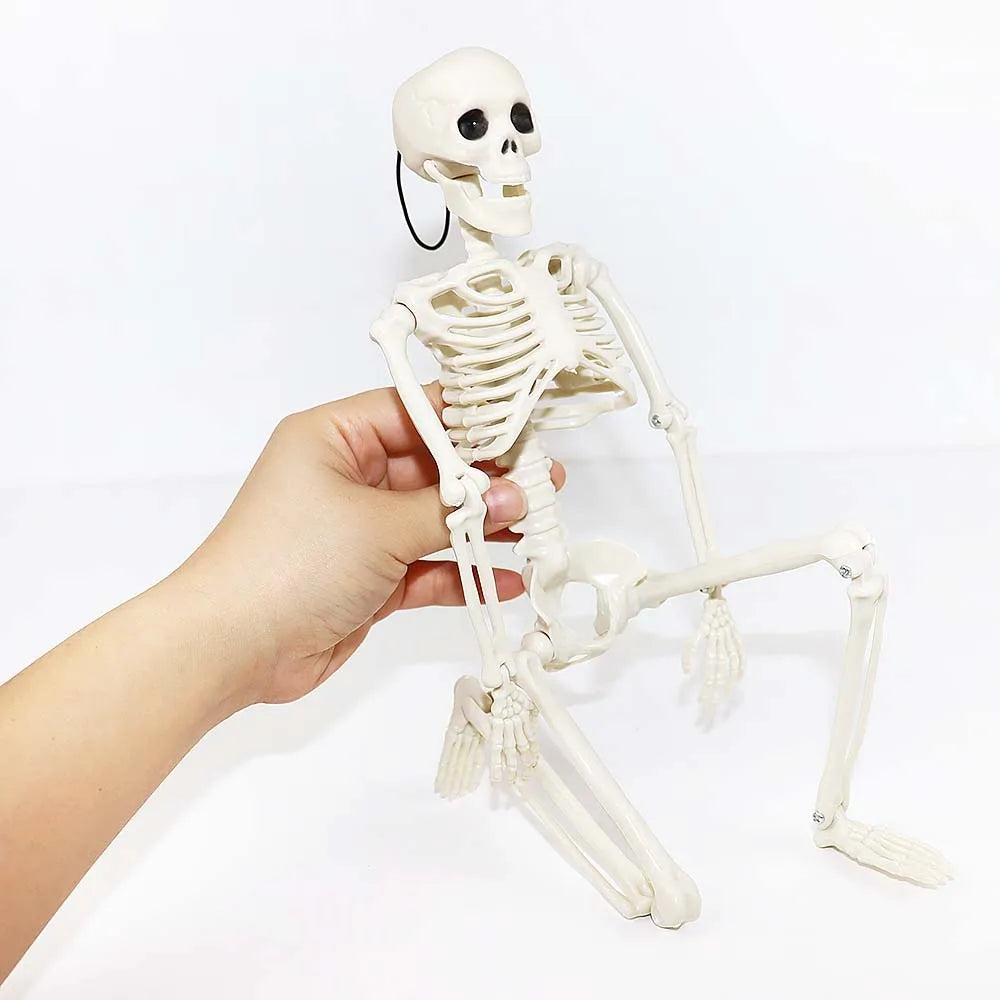 1/2pcs Halloween Skull